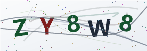 Güvenlik kodu